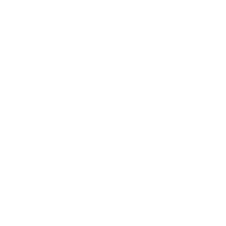 Happy Vacation Vibes